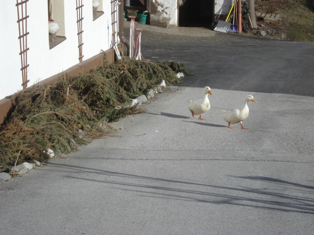 k2015.03.08 Stubai-Tal, Westendorf (1)