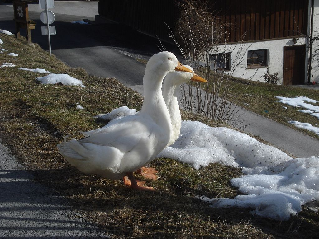 k2015.03.08 Stubai-Tal, Westendorf (3)