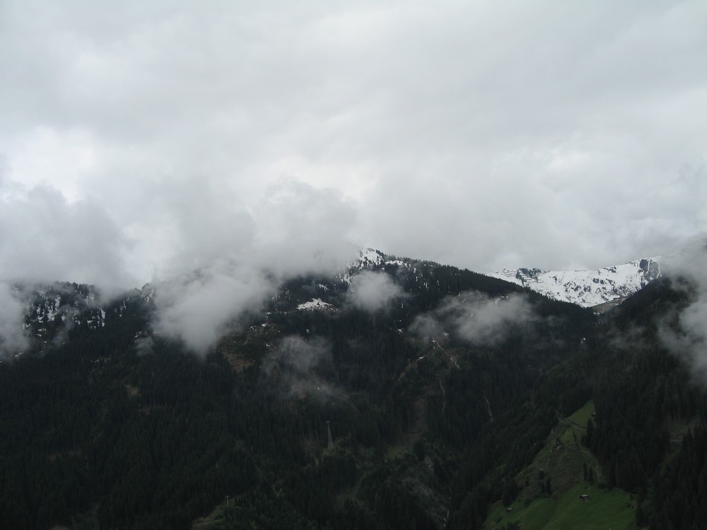 IMG_8679
