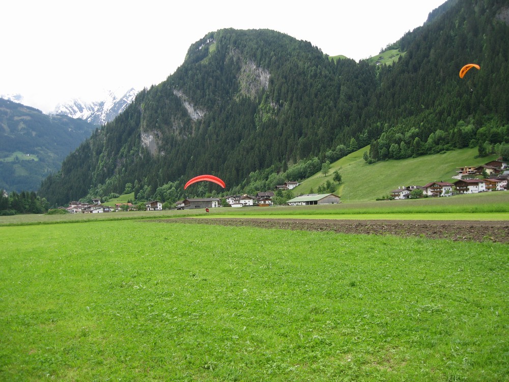 IMG_8743