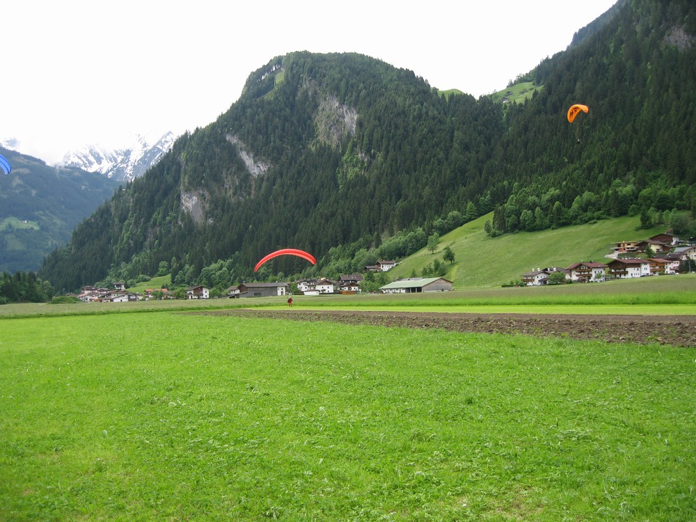 IMG_8744