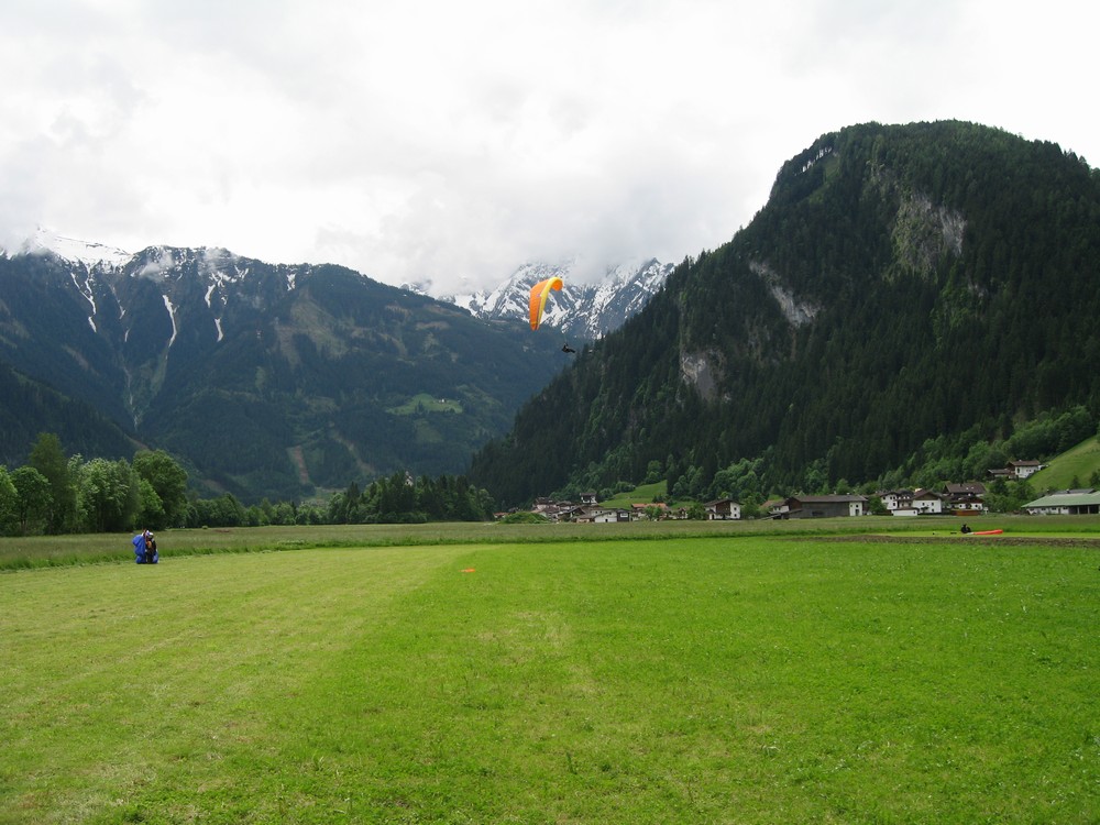 IMG_8782