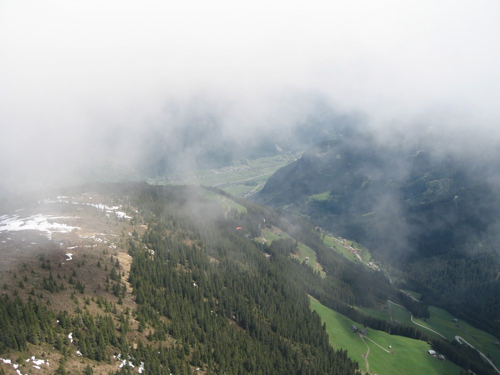 IMG_8818